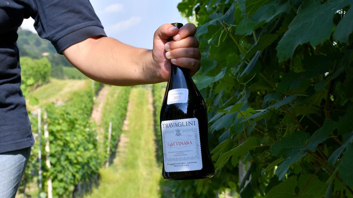 Gattinara DOCG 2022 - Travaglini
