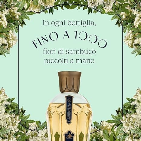 St. Germain Liquore Ai Fiori Di Sambuco - St. Germain (700 ml)