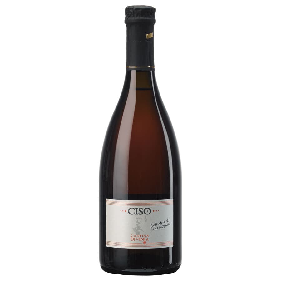 Lambrusco Sorbara 'Ciso' DOC 2024 - Cantina Divinja