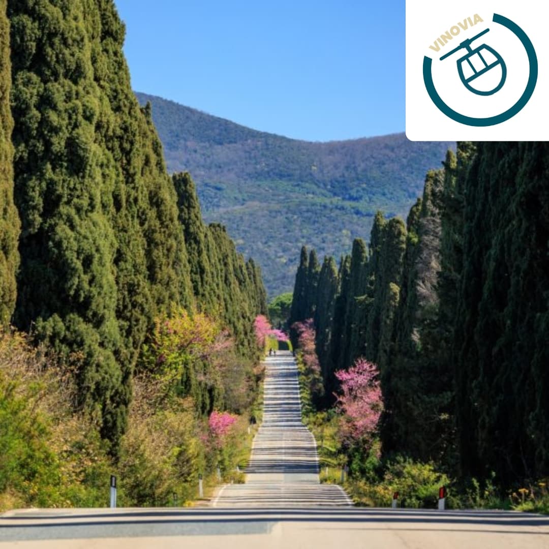 A zonzo nel Chianti a bere Bolgheri bianco