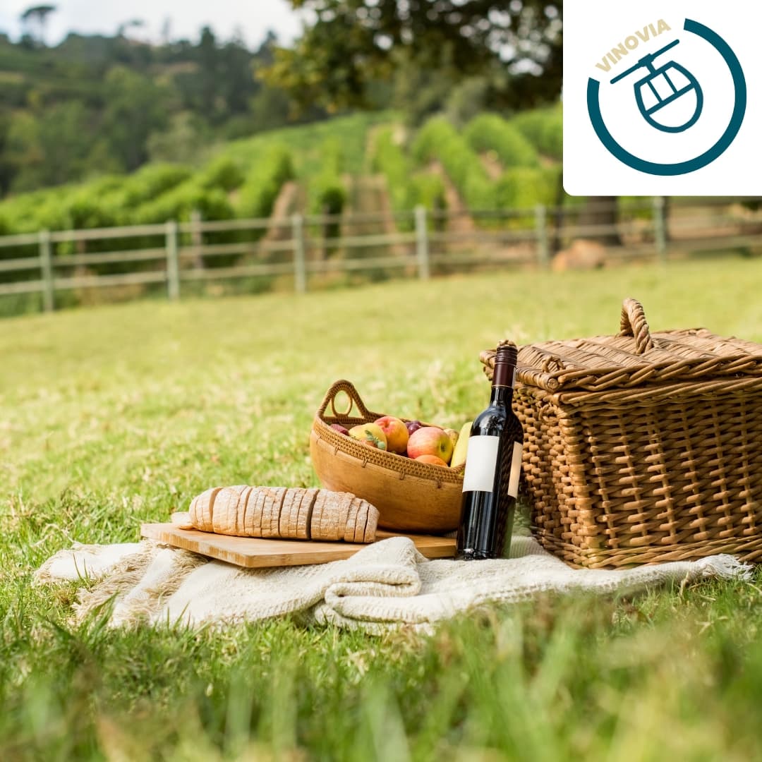 Primavera delle mie brame, quale vino mettiamo vicino al tegame?