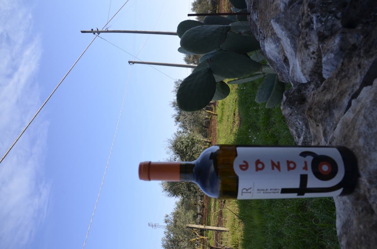 Orange Wine IGP Valle d’Itria 2022