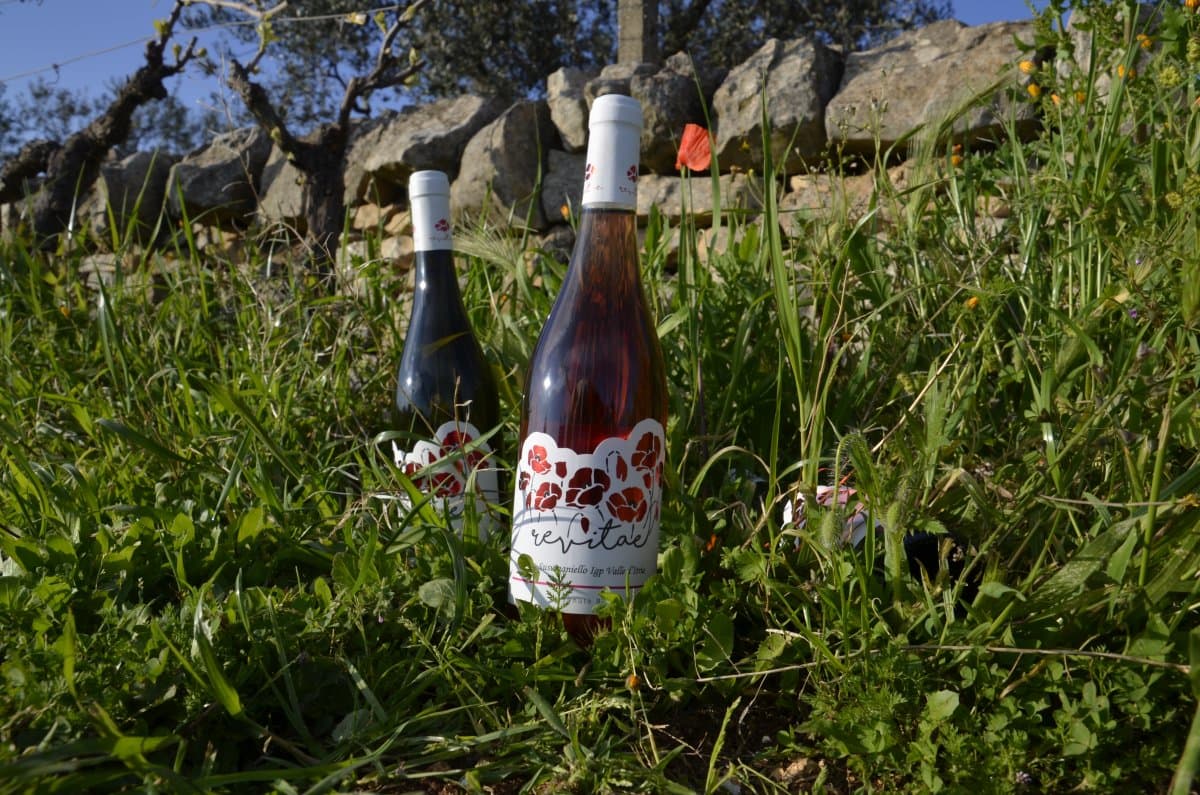Susumaniello Rosato IGP Valle d'Itria 2024