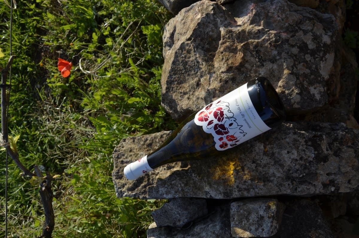 Minutolo IGP Valle d'Itria 2024