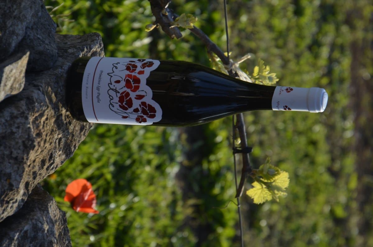 Primitivo IGP SALENTO 2021