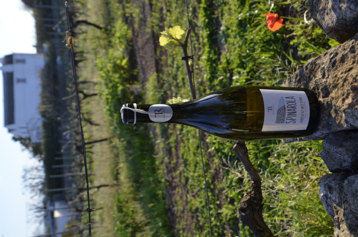 Verdeca frizzante IGP Valle d'Itria