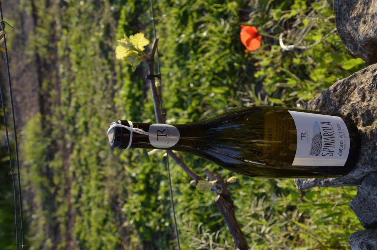 Verdeca frizzante IGP Valle d'Itria