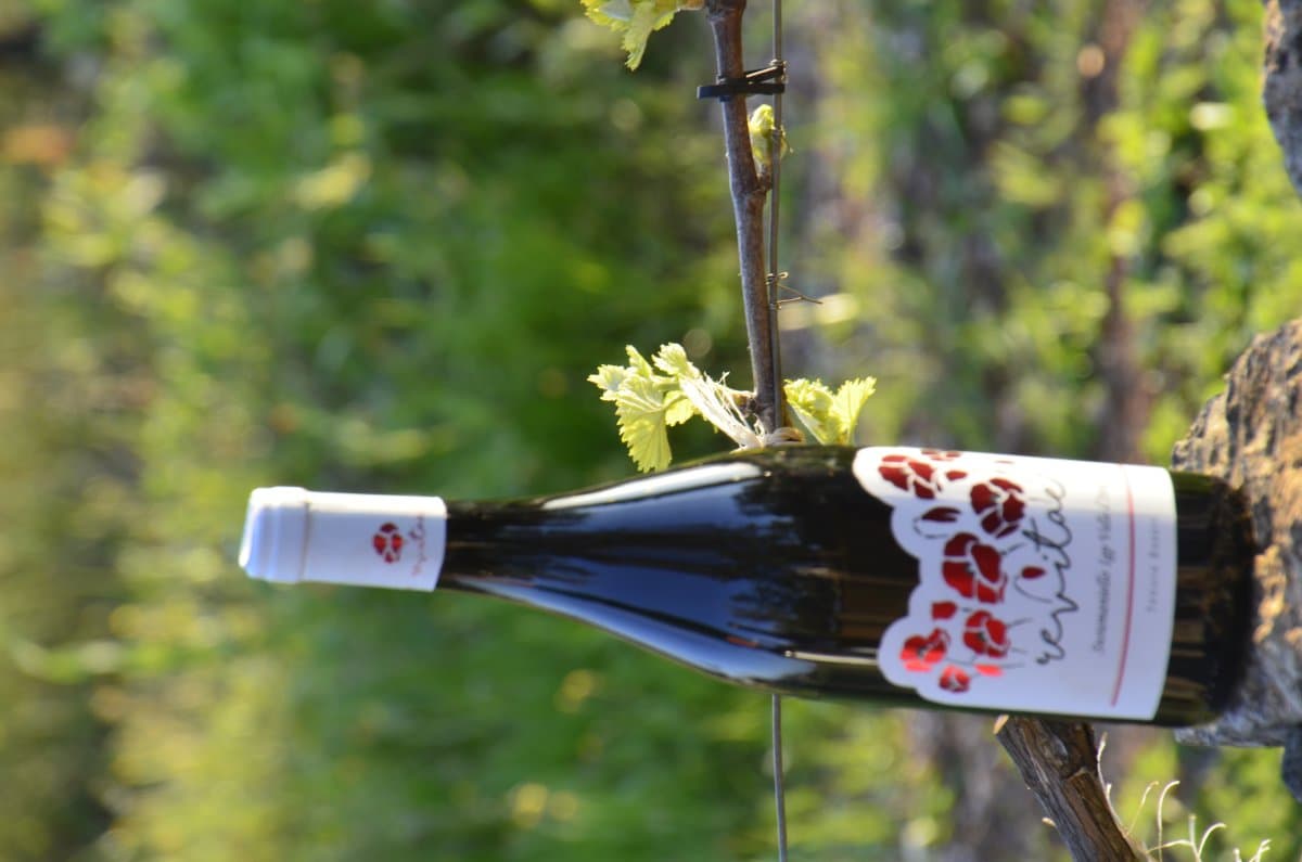 Susumaniello Rosso IGP Valle d'Itria 2022 - Premium Vendemmia Tardiva