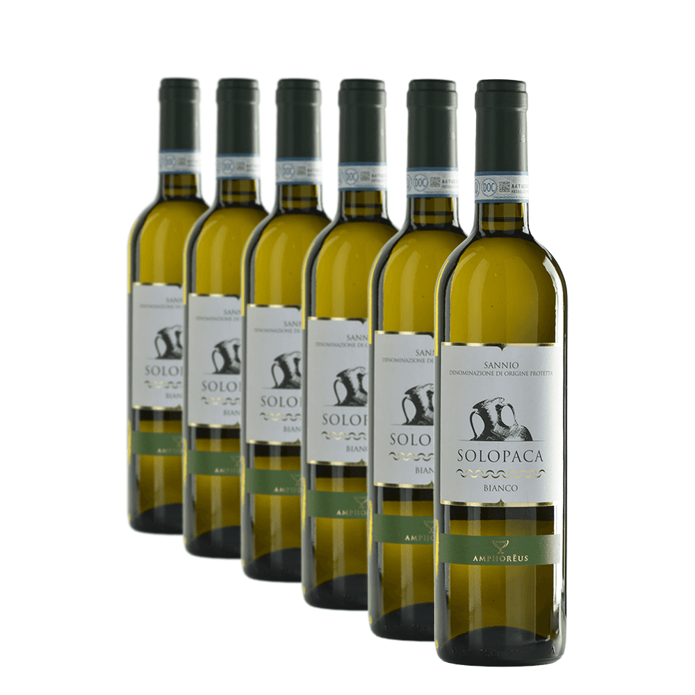 Confezione da 6 Solopaca bianco del Sannio DOP - Amphoréus