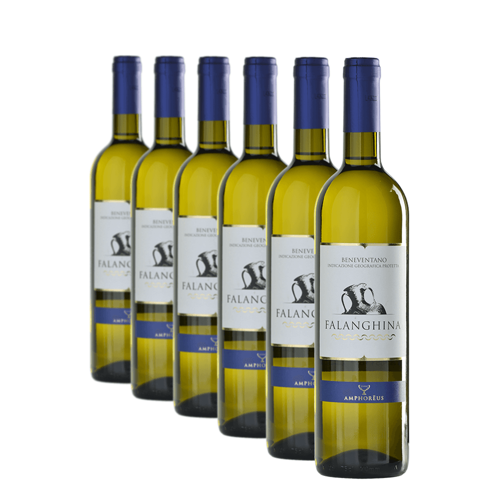 Confezione da 6 Falanghina Del Beneventano - Amphoreus