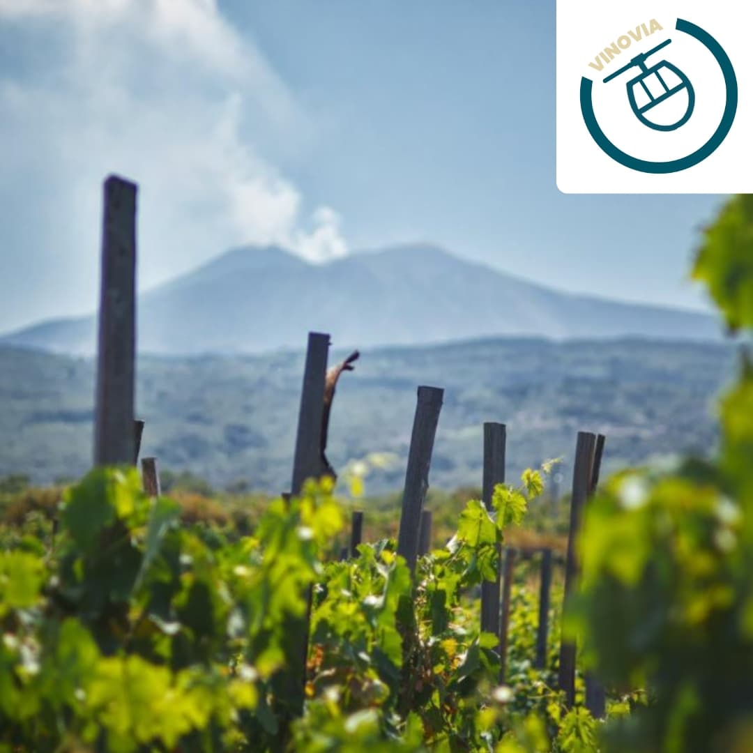 Etna Rosso alle pendici del palazzo Pitti