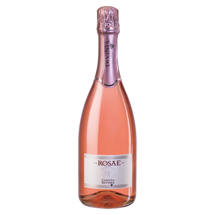 Lambrusco di Sorbara Rosato 'Rosae' DOC 2024 - Cantina Divinja