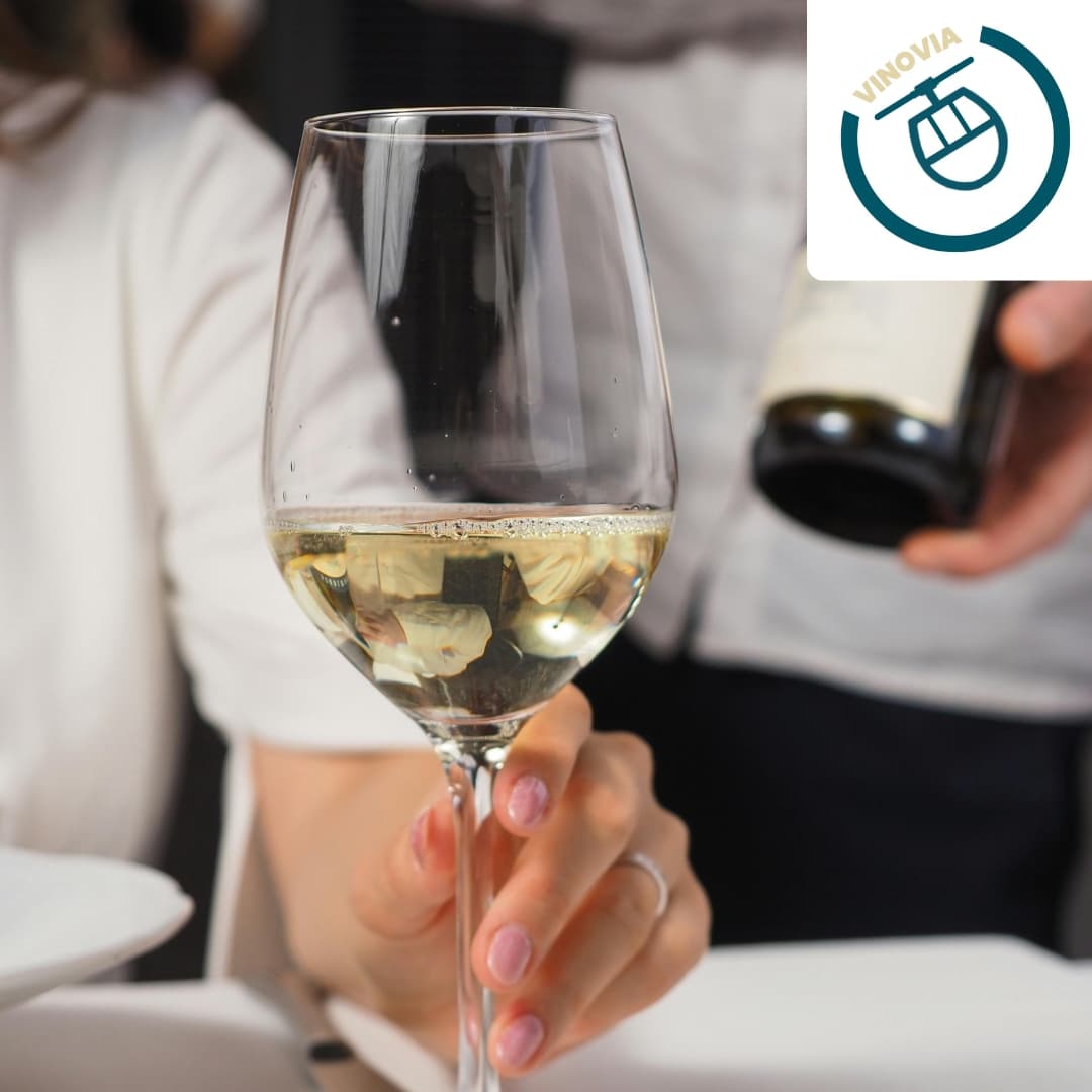 Un sorso di mondo: il vino scoperto in viaggi. Timorasso