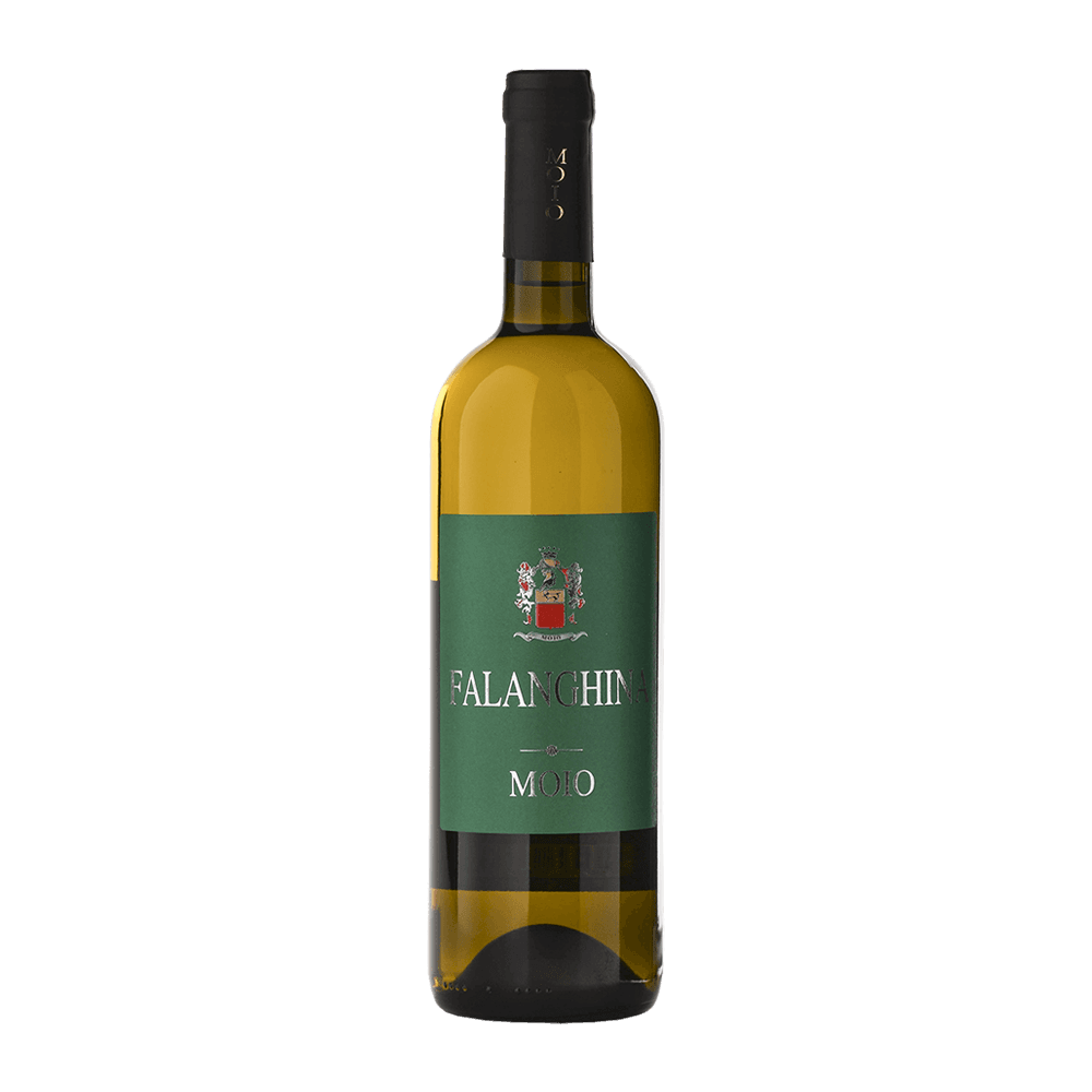 Falanghina del Beneventano IGP 2025 - Cantina Moio
