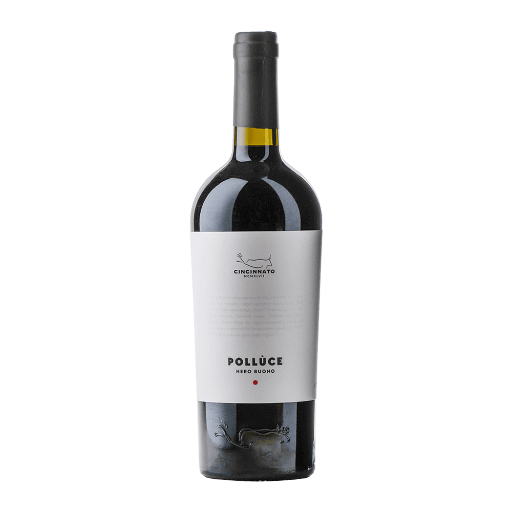 Nero Buono del Lazio 'Pollucè' IGT 2024 - Cincinnato