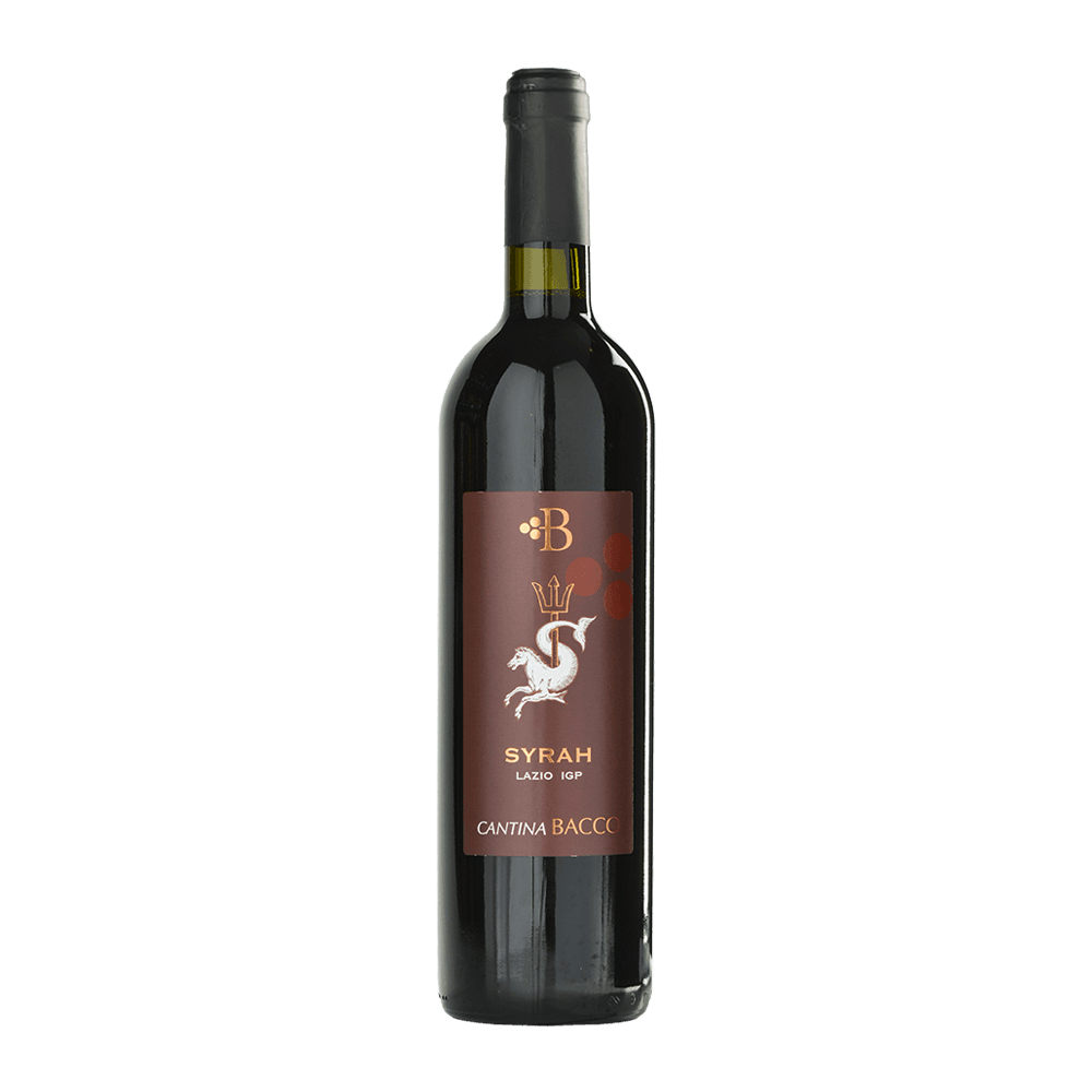 Syrah lazio IGT - Cantina Bacco