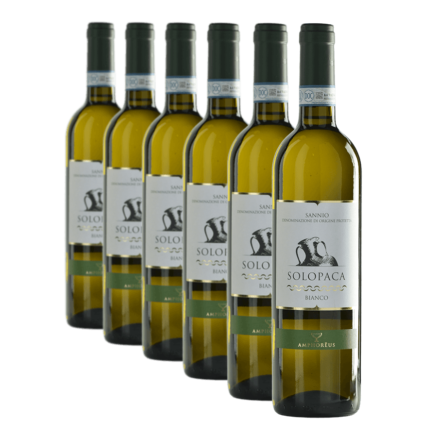 Confezione da 6 Solopaca bianco del Sannio DOP - Amphoréus