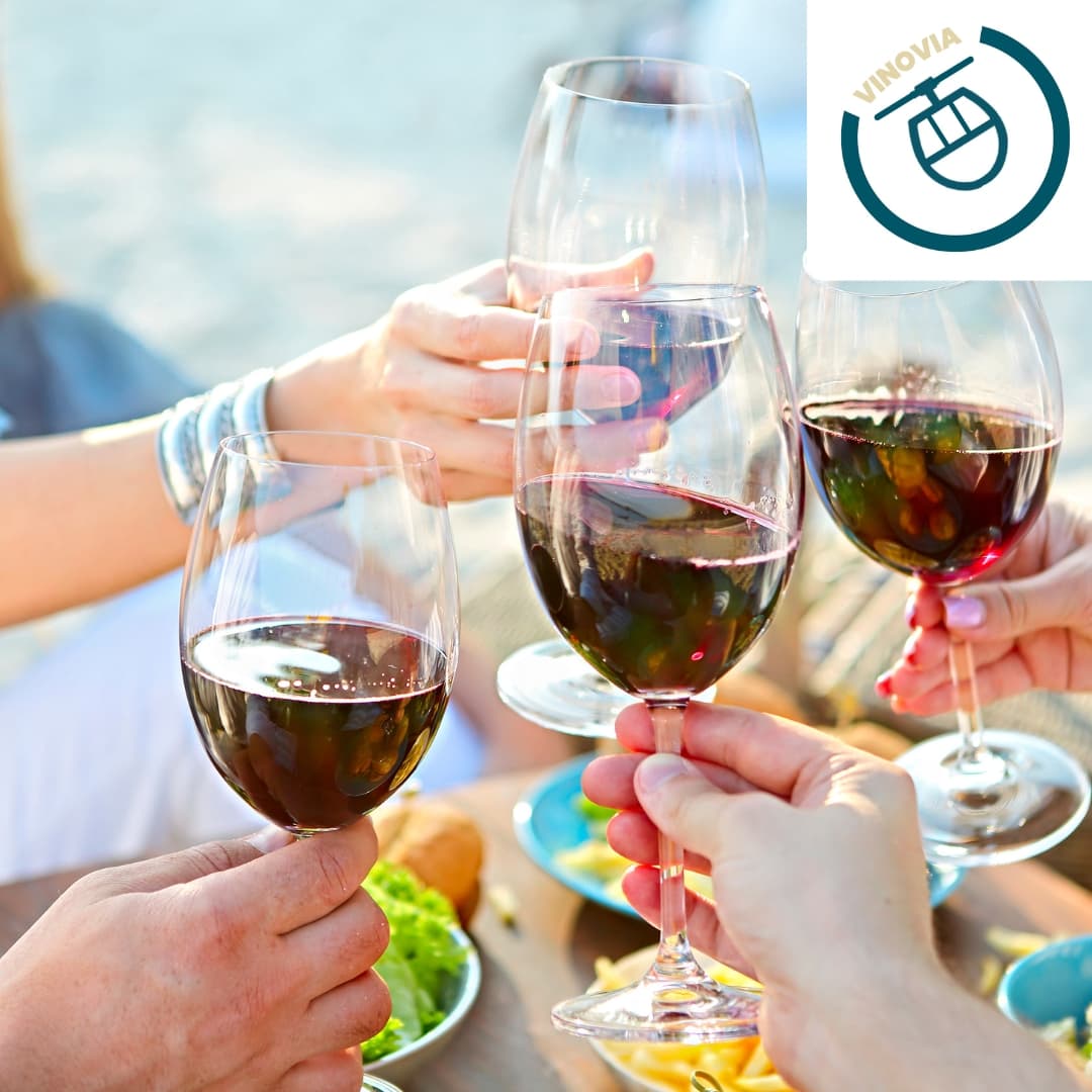 Refosco dal peduncolo rosso: vino rosso da bere fresco in estate